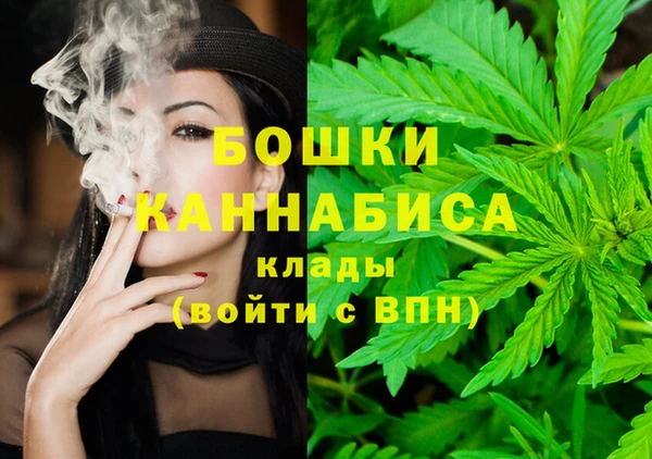 винт Вяземский