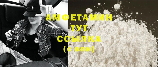 винт Вяземский